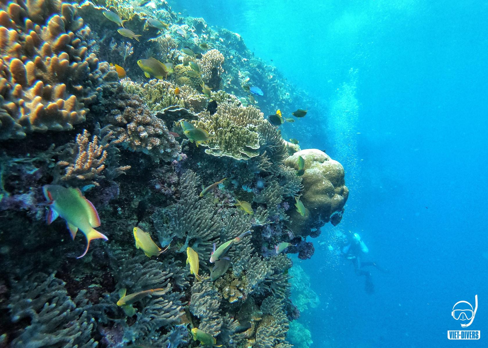 Đang ở biển nè