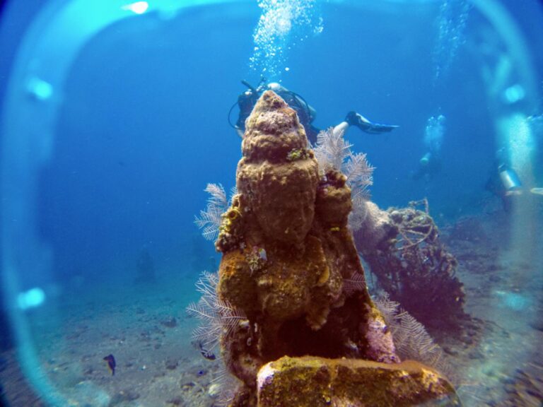 Đi biển 20/10/2025