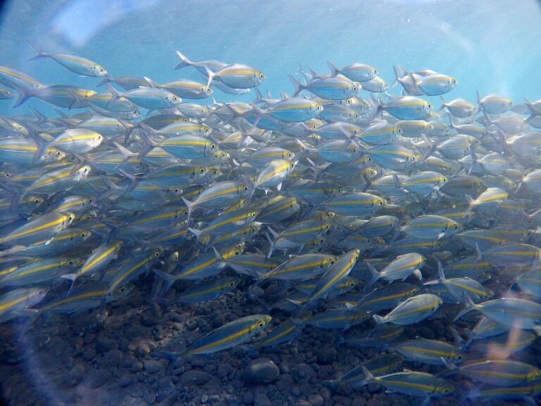 Đi biển 20/10/2025