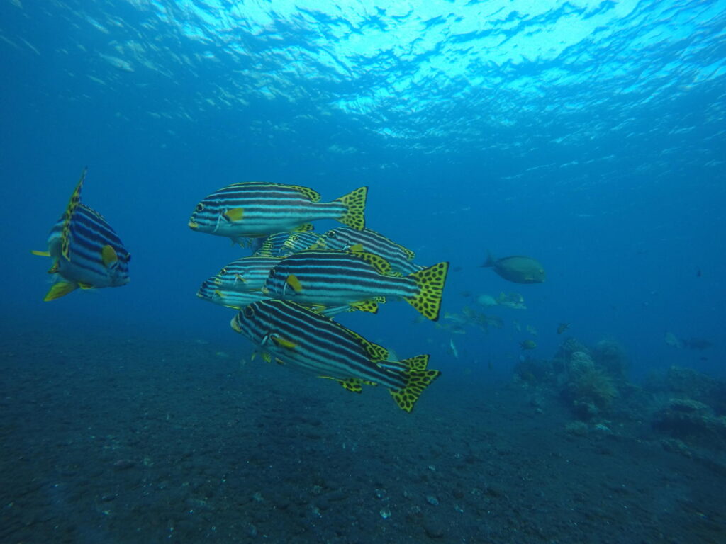 Đi biển 20/10/2025