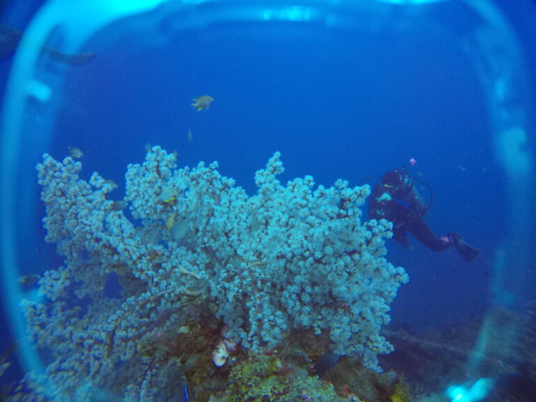 Đi biển 20/10/2025