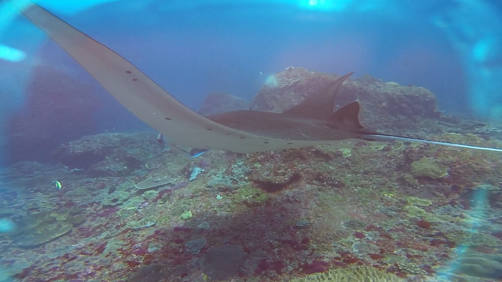 Đang ở biển nè