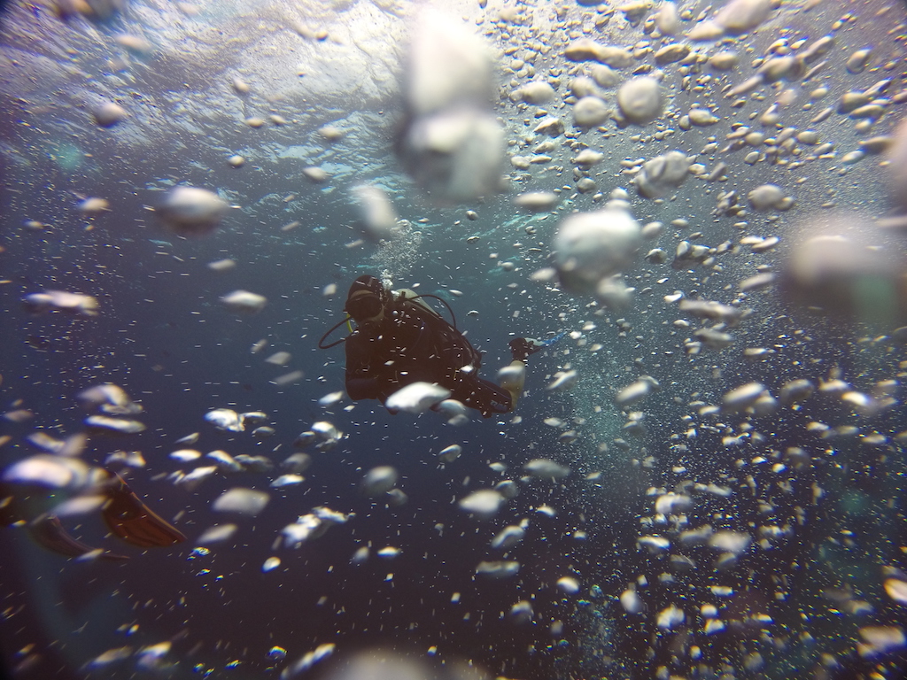 Đang ở biển nè