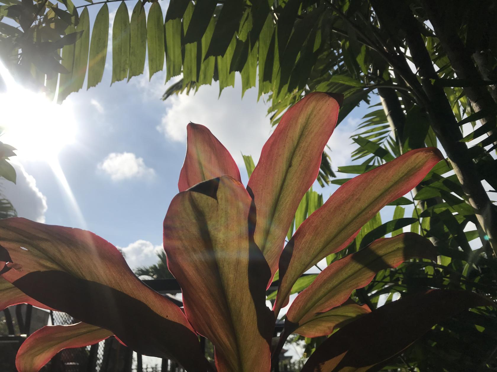 Đang ở biển nè