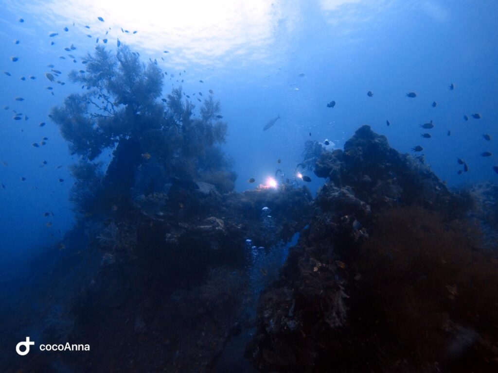 Đi biển 20/10/2025