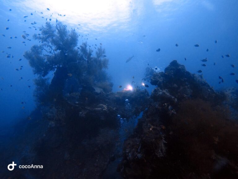 Đi biển 20/10/2025