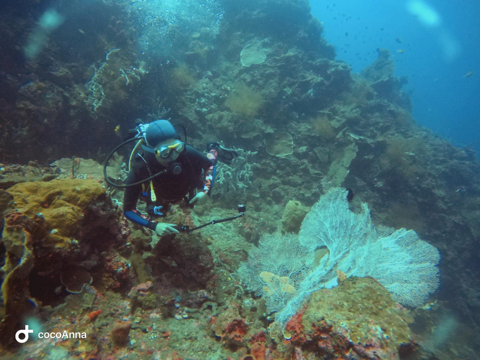 Đang ở biển nè