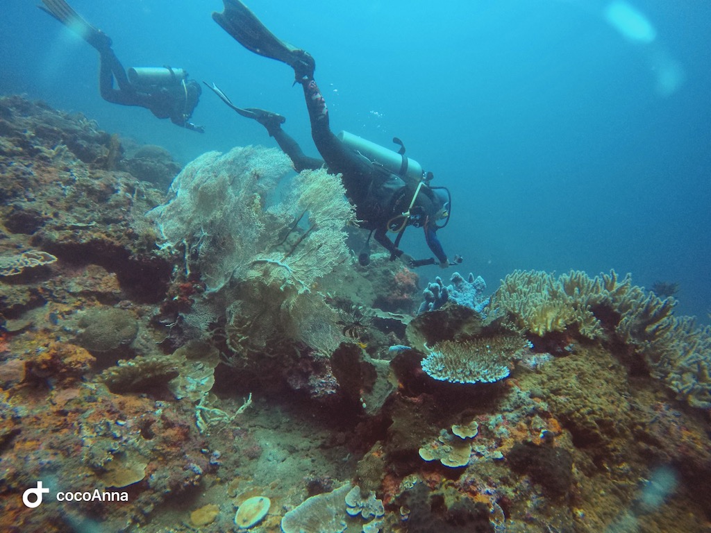 Đang ở biển nè