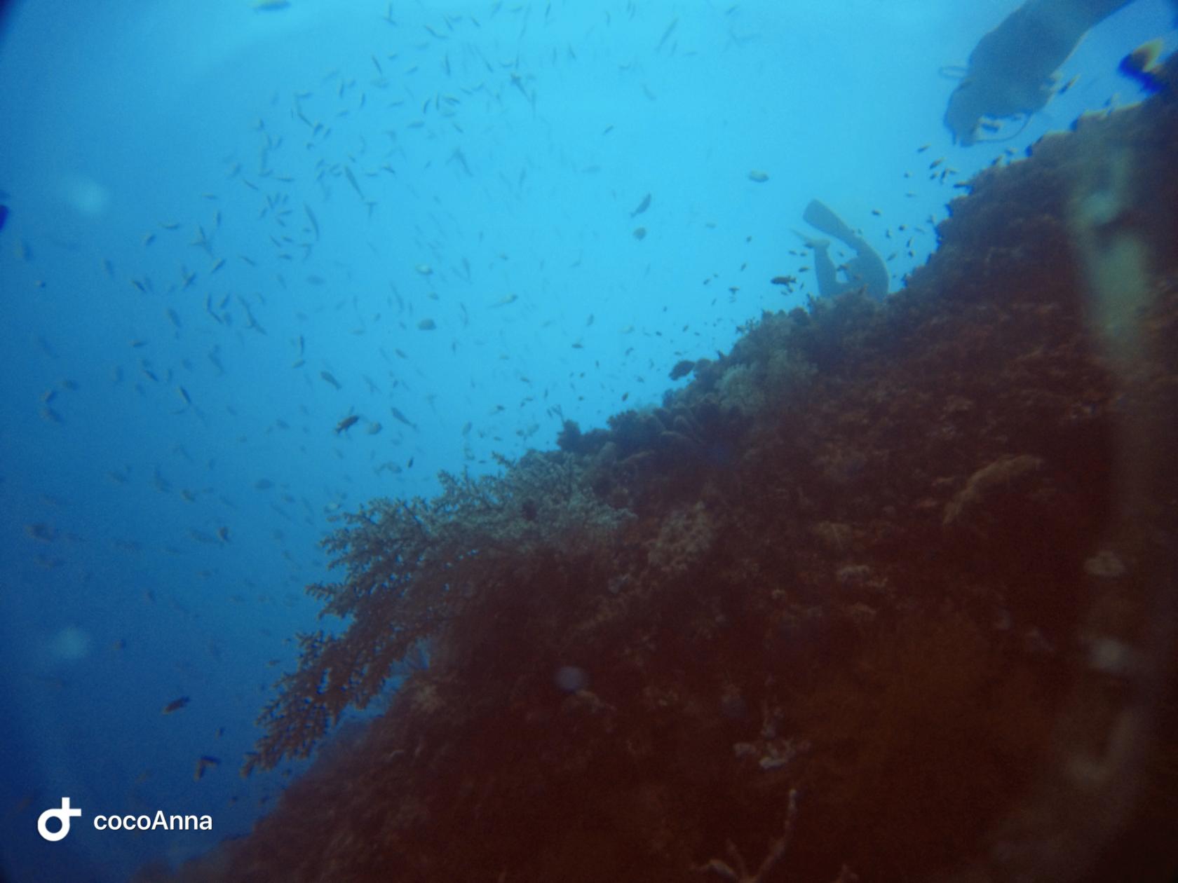 Đang ở biển nè