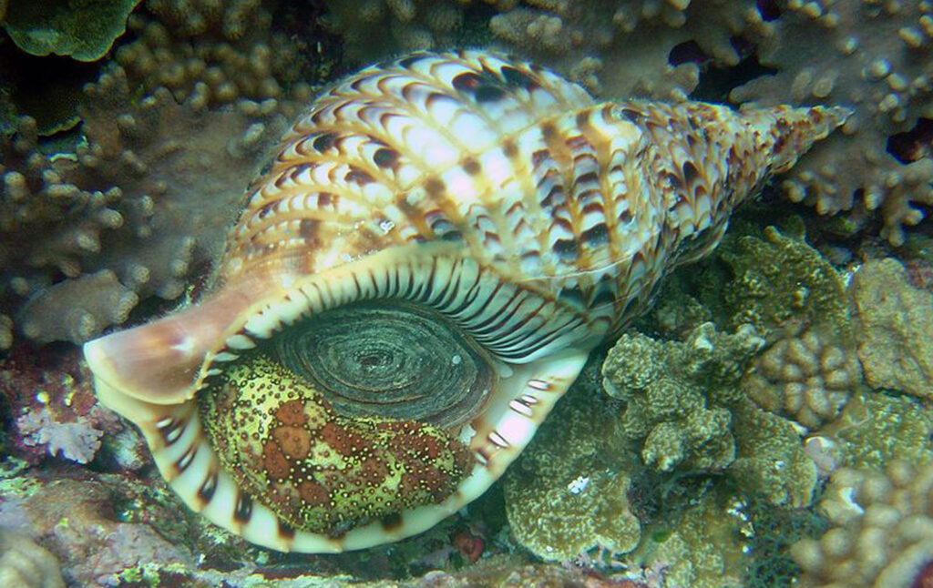 Đi biển 20/10/2025