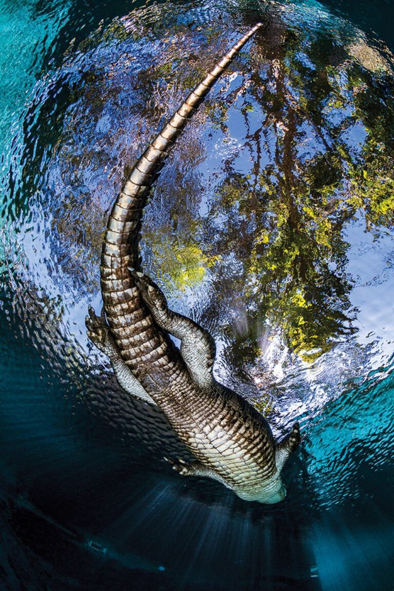 Đi biển 20/10/2025