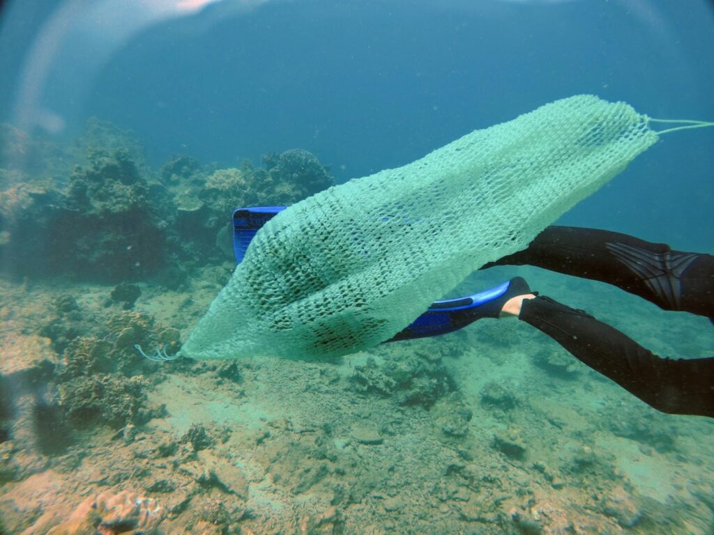 Đi biển 20/10/2025