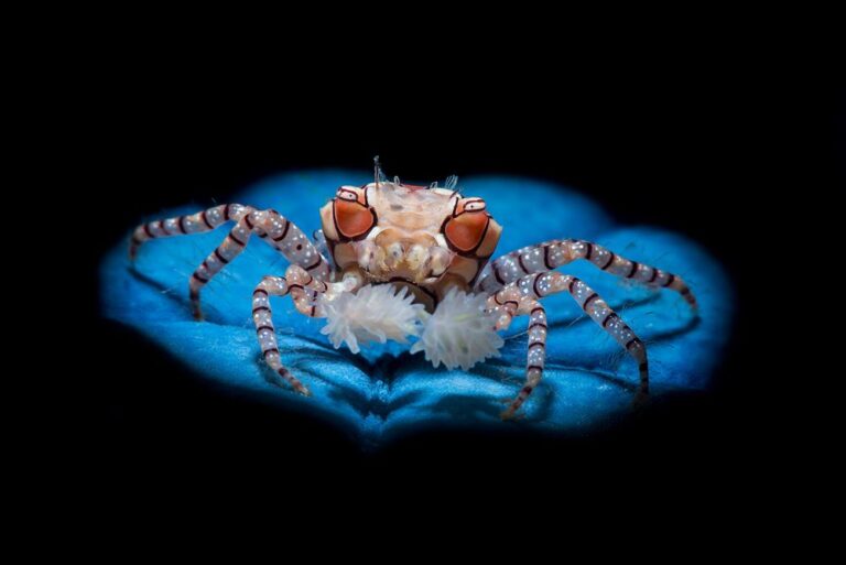 Đi biển 20/10/2025